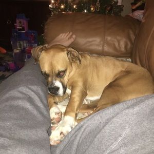 Meet your Posher, Jarrod